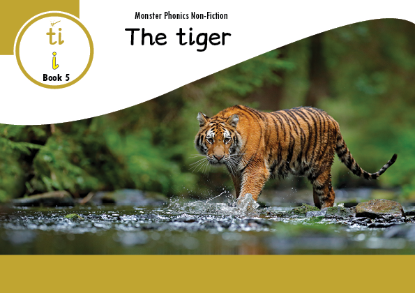 10 NFB The Tiger GOLD folder