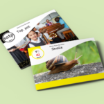 Monster Phonics non fiction books